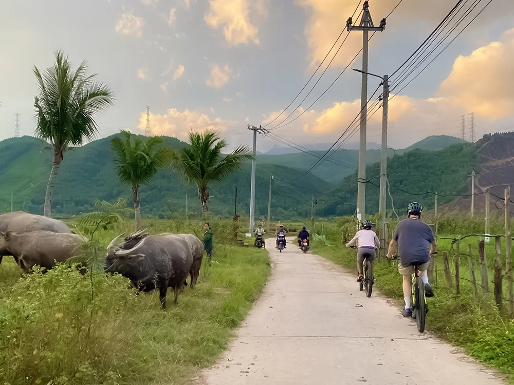 Da Nang Countryside Bike Tour